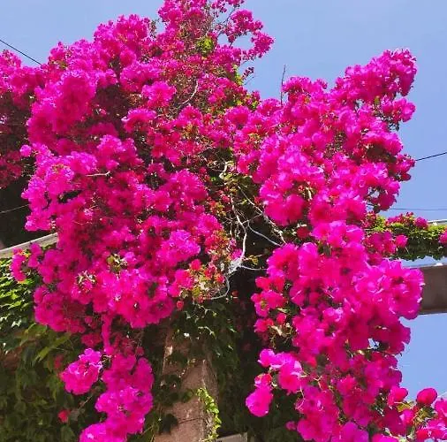 Spitaki Megali Ammos (Skiathos)